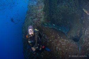 Itziar Aretxaga. Submarinismo. Roca Partida, Revillagigedo, Mexico.