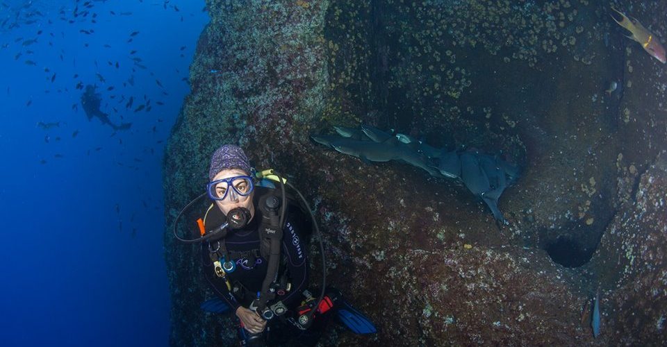 Itziar Aretxaga. Submarinismo. Roca Partida, Revillagigedo, Mexico.